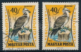 O 1957-1964 1962 Ragadozó Madarak 40f Kék Színeltolódás Lefelé - Sonstige & Ohne Zuordnung