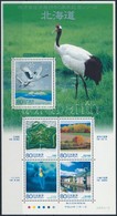 ** 2008 60 éves A Hokkaidói önkormányzat Blokk Mi 200 - Sonstige & Ohne Zuordnung