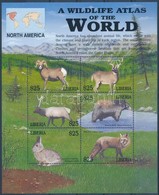 ** 2008 Észak - Amerika állatai Kisív Mi  4399-4404 - Sonstige & Ohne Zuordnung