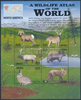 ** 2008 Észak - Amerika állatai Kisív Mi  4399-4404 - Otros & Sin Clasificación