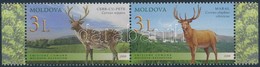 ** 2008 Szarvas Sor ívszéli Párban Mi 623-624 - Altri & Non Classificati