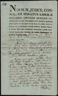 1817 Pécs, Mindszenti Petrovszky-család Birtokügyében íródott Okirat, Pécs Város Szárazpecsétjével, Aláírással, Latin Ny - Sin Clasificación