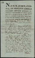 1817 Pécs, Mindszenti Petrovszky-család Birtokügyében íródott Okirat, Pécs Város Szárazpecsétjével, Aláírással, Latin Ny - Non Classés