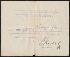 1919 Szocializált Színházak és Mulatók Biztosságának Igazolása Kulinyi Ferenc Részére, Felmentési ügyben, Pecséttel, Hiv - Non Classificati