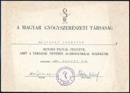 1966 A Magyar Gyógyszerészeti Társaság Tagfelvételi Igazoló Lapja - Sin Clasificación