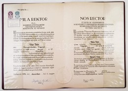 1973 Bp., Budapesti Eötvös Loránd Tudományegyetem által Kiállított Filozófiai Doktori Diploma - Sin Clasificación