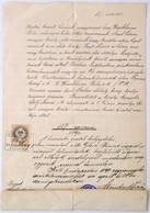 Széher Mihály (1817-1889): ügyvéd, Királyi Tanácsos. Pesti Képviselő 1877-es Címeres Levelének 1890. évi Hivatalos Másol - Non Classificati