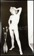 Bátor Modellek A Szocreál Időszakából - Cca 1970-1972 Között Készült, Szolidan Erotikus Felvételek, 31 Db Vintage Negatí - Sonstige & Ohne Zuordnung
