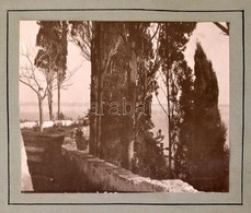 Cca 1910-1920 Navratilné Hegedűs Rózsika Saját Készítésű Fotóalbuma, Benne Közel 100 Művészi Igényű Fényképpel. Több Fot - Altri & Non Classificati