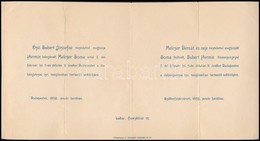 1893-1897 2 Db Esküvői Meghívó: 

1893 Budapest, Melczer Soma (1863-1942) Később A Fonciére Biztosító Intézet Vezértitká - Sonstige & Ohne Zuordnung