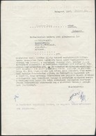 1945 Magyar Izraeliták Pártfogó Irodájának Igazolása - Sonstige & Ohne Zuordnung