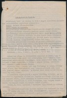 1946 Jegyzőkönyv A Balaton Aknamentesítéséről A Honvédelmi Minisztériumban Tartott értekezletről  6 Gépelt Oldal - Altri & Non Classificati