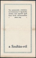 Cca 1910 A Singléri Szultán-forrás Ismertető Prospektusa - Ohne Zuordnung