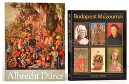Vegyes Könyvtétel, 2 Db: 
Heinz Lüdecke: Albrecht Dürer. Bp.,1978,Corvina. Kiadói Egészvászon-kötés, Kiadói Kissé Szakad - Non Classés