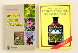 Vegyes Könyvtétel, 2 Db: 
Varró Aladár Béla: Gyógynövények Gyógyhatásai. Kaposvár, 1991, Marksped Kft. Kiadói Papírkötés - Sin Clasificación