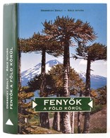 Dr. Debreczeny Zsolt - Dr. Rácz István: Fenyők A Föld Körül. Bp., 2000, Dendrológiai Alapítvány. Kiadói Kartonált Kötés, - Non Classificati