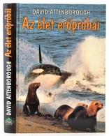 David Attenborough: Az élet Erőpróbái. Fordította: Sárközy Elga. Bp.,1993, Park. Kiadói Kartonált Papírkötés. - Non Classificati