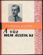 Rotman Miklós: A Tűz Nem Alszik Ki. (Török Pál élete és Munkássága.) Uzshorod (Ungvár), 1966, Kárpáti Könyvkiadó. Kiadói - Non Classés