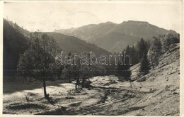 T2/T3 1936 Brassópojána, Pojána, Schulerau, Poiana Brasov; út / Road. Photo + 1936 IV. Jamboree A Cercetasilor Romaniei  - Ohne Zuordnung