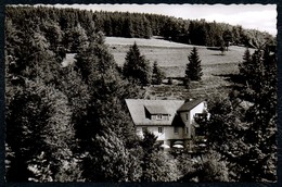 B7525 - TOP - Willingen Waldeck - Hotel Cafe Restaurant Schneeberghaus - W. Werner - Waldeck