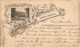 T2/T3 1896 (Vorläufer!) Bártfa-fürdő, Bardejovské Kúpele, Bardiov; Art Nouveau, Floral Greeting Postcard (kopott élek /  - Ohne Zuordnung