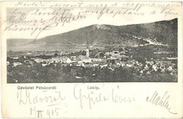 T2 1905 Pelsőc, Pelsücz, Plesivec; Pártos Mór Kiadása - Sin Clasificación