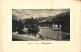 T2 Selmecbánya, Schemnitz, Banská Stiavnica; Rossgrundi Tó. Joerges 1910. / Rozgrundské Jazero / Lake - Sin Clasificación