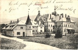 T2/T3 Beregvár, Karpaty, Karpati; Schönborn Kastély. Bertsik Emil 67. / Castle (EK) - Sin Clasificación