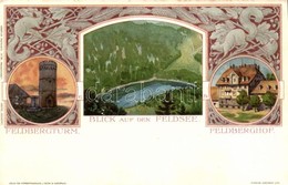 ** T2 Feldsee, Feldbergsee; Feldbergturm, Feldberghof. Veltens Künstlerkarte No. 24. Art Nouveau Litho - Sin Clasificación