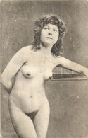 ** T2/T3 Vintage Erotic Nude Lady. Künstler Akt-Studie (non PC) (fl) - Ohne Zuordnung