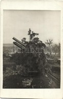 ** T1/T2 Első Világháborús Osztrák-magyar álcázott ágyú / WWI K.u.k. Military, Camouflaged Cannon. Photo - Non Classificati
