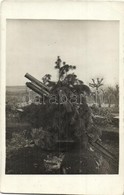 ** T1/T2 Első Világháborús Osztrák-magyar álcázott ágyú / WWI K.u.k. Military, Camouflaged Cannon. Photo - Ohne Zuordnung