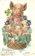 T2/T3 1909 Boldog Új Évet! / New Year Greeting Card, Pigs In Flower Basket. Litho - Non Classificati
