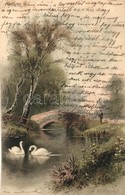 T2 1905 Litho Art Postcard With Little Bridge And Swans. Meissner & Buch Künstler-Postkarten Serie 1263. S: F. W. Hayes - Non Classificati