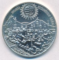1986. 500Ft Ag 'Budavár Visszavétele 1686' T:BU
Adamo EM97 - Ohne Zuordnung