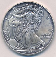 Amerikai Egyesült Államok 2014. 1$ Ag 'Walking Liberty' T:BU
USA 2014. 1 Dollar Ag 'Walking Liberty' C:BU - Ohne Zuordnung