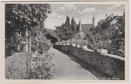 Allemagne  Radolfzell A Bodensee Stadtgarten ,partie Auf Der Mauer - Radolfzell