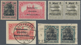 Deutsche Abstimmungsgebiete: Marienwerder: 1920, Reichhaltiger Sammlungsbestand Mit Ca.250 Marken, D - Other & Unclassified