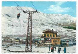 CPSM ANIMEE LIBAN, TELESIEGE DES CEDRES, LEBANON, CEDARS LIFT - Liban