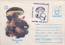 1995 , RUMANIA , ENTERO POSTAL CON MATASELLOS ESPECIAL , TEMA SETAS , HONGOS , MICOLOGIA - Mushrooms