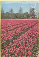 OLANDA - NEDERLAND - Paesi Bassi - Holland - Lisse - "Keukenhof" - Not Used - Lisse