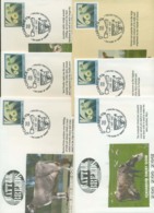 Australia 1997 Cattle Breeds, Carrick Tas 6x PSE Lot20771 - Cartas & Documentos