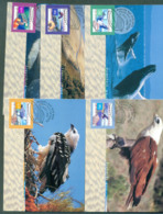 Australia 1999 Nature Of Australia, Coastal Birds Maximum Cards (5) Lot68449 - Storia Postale