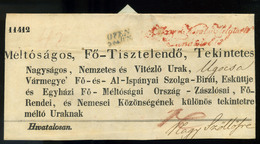 BUDA  1848.07. Hivatalos Helytartótanácsi Boríték Nagyszőllősre Küldve  /  BUDA 1848.07. Official Governor's Committee C - ...-1867 Prephilately