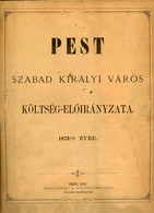 Pest Szabad Királyi Város Költség-előírányzata 1873-dik évre érdekes 25 Lapos Kiadvány  /  Pest Free Roy. City-county Pr - Unclassified