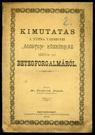 NAGYTAPOLCSÁNY 1898. Kimutatás A Nyitra Vármegyei Ágoston Közkórház Betegforgalmáról 16l  /  1898 Document Of The Patien - Unclassified