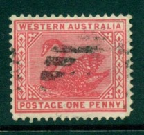 WA 1902-11 1d Red Swan Typo Perf 12.5 Wmk Crown V FU Lot28350 - Usati