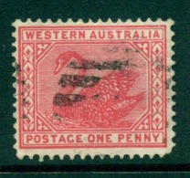 WA 1902-11 1d Red Swan Typo Perf 12.5 Wmk Crown V FU Lot28350 - Used Stamps