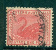 WA 1905-11 1d Red Swan Typo Perf 12.5 Wmk Crown A FU Lot28363 - Used Stamps