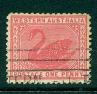 WA 1905-11 1d Red Swan Typo Perf 12.5 Wmk Crown A FU Lot28365 - Used Stamps